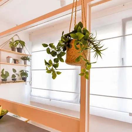 Appartamento C12a02 Playa Moderno, By R2r Consulting